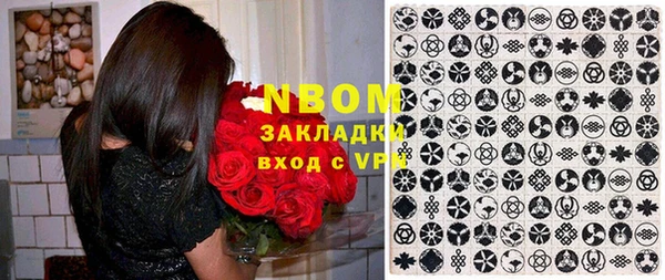 индика Баксан