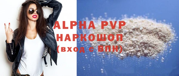 индика Баксан