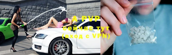 индика Баксан