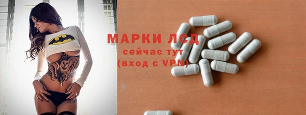 индика Баксан