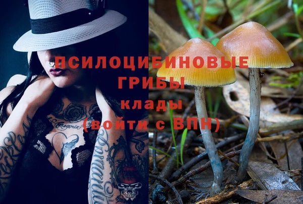 индика Баксан