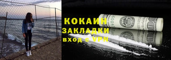 шишки Домодедово